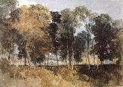 Joseph Mallord William Turner Forest oil